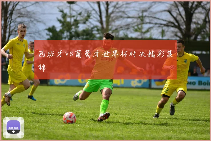 西班牙vs葡萄牙世界杯对决精彩集锦