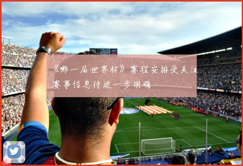 《哪一届世界杯》赛程安排受关注 赛事信息待进一步明确