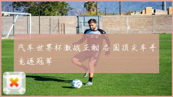汽车世界杯激战正酣 各国顶尖车手竞逐冠军
