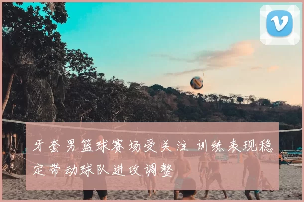 牙套男篮球赛场受关注 训练表现稳定带动球队进攻调整